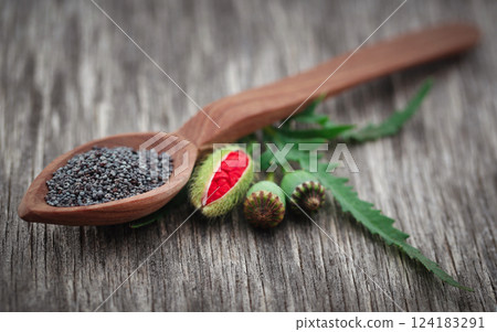 Poppy flower seeds and leaves 124183291