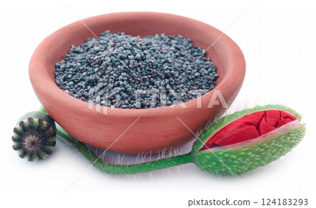 Poppy flower seeds and pods 124183293