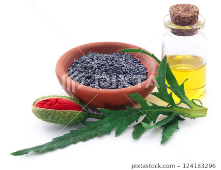 Poppy flower seeds and pods with extract 124183296