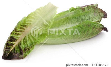 Fresh Romaine lettuce Fresh Romaine lettuce 124183372