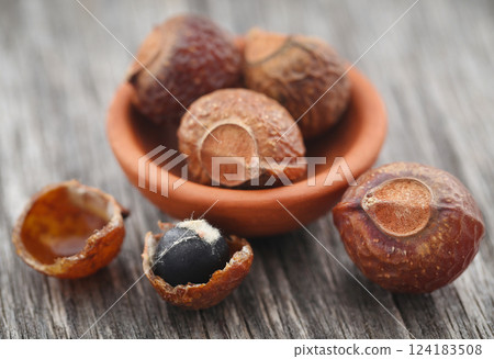 Sapindus mukorossi or Indian soapberry Sapindus mukorossi or Indian soapberry 124183508