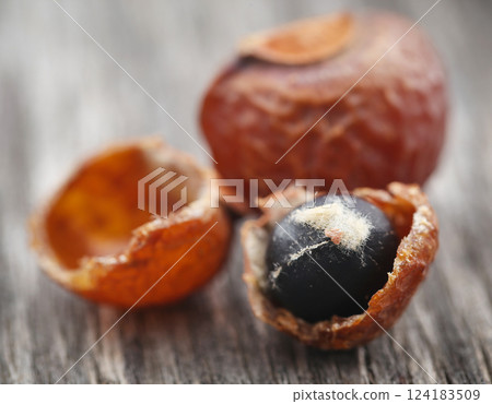 Sapindus mukorossi or Indian soapberry Sapindus mukorossi or Indian soapberry 124183509