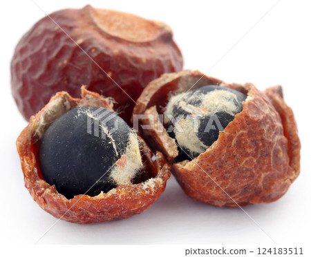 Sapindus mukorossi or Indian soapberry Sapindus mukorossi or Indian soapberry 124183511