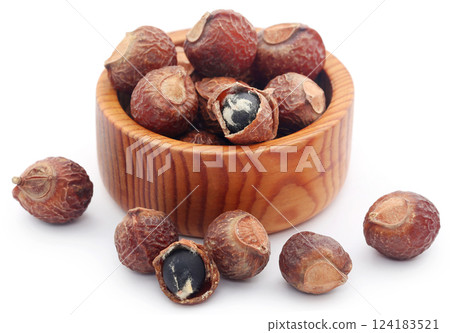 Sapindus mukorossi or Indian soapberry Sapindus mukorossi or Indian soapberry 124183521