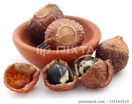 Sapindus mukorossi or Indian soapberry Sapindus mukorossi or Indian soapberry 124183524