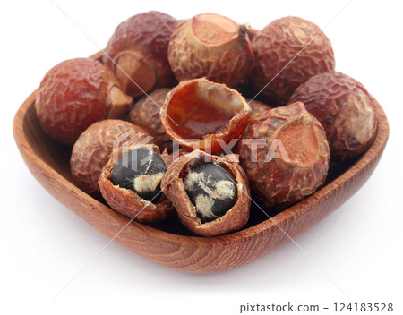 Sapindus mukorossi or Indian soapberry 124183528