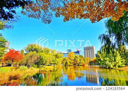 Autumn leaves at Nakajima Park in Sapporo on a clear autumn day 124183564
