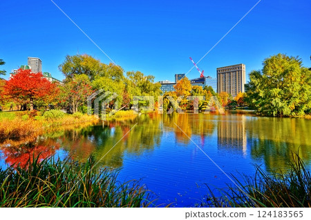 秋高氣爽的札幌中島公園的紅葉 秋高氣爽的札幌中島公園的紅葉 124183565