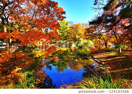 秋高氣爽的札幌中島公園的紅葉 秋高氣爽的札幌中島公園的紅葉 124183566