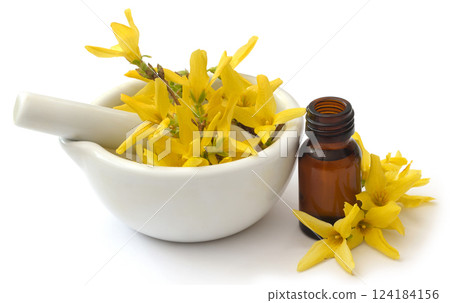 Forsythia with essential oil 124184156