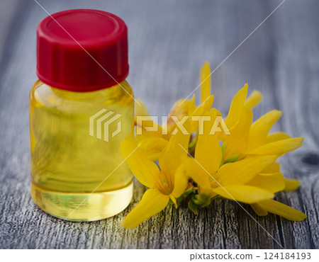Forsythia with essential oil Forsythia with essential oil 124184193