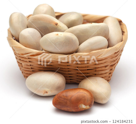 Edible seeds of jackfruit 124184231