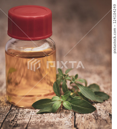 Fenugreek leaves with oil 124184249