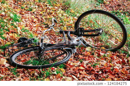 Bike in autumn leaves Bike in autumn leaves 124184275