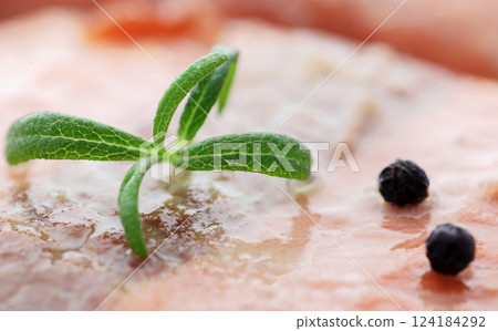 Salmon with rosemary Salmon with rosemary 124184292