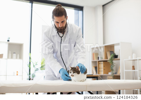 Bearded male veterinarian wearing white coat and blue gloves using stethoscope on relaxed cat, light-filled clinic room with bookshelves and plants in background, representing animal healthcare Bearded male veterinarian wearing white coat and blue gloves using stethoscope on relaxed cat, light-filled clinic room with bookshelves and plants in background, representing animal healthcare 124184326