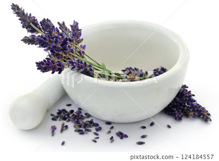 Lavender flower in a mortar with pestle Lavender flower in a mortar with pestle 124184557