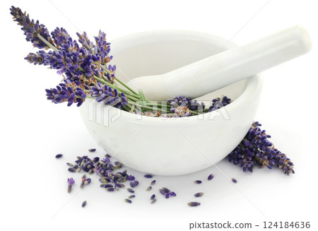 Lavender flower in a mortar with pestle Lavender flower in a mortar with pestle 124184636