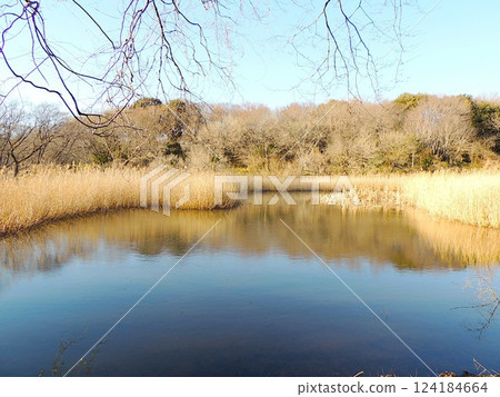 Kitamoto Nature Observation Park Takao Pond 124184664