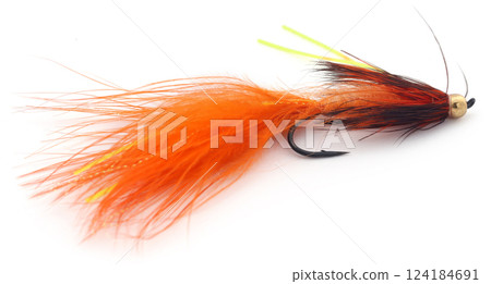 Fishing fly with hook 124184691