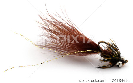 Fishing fly with hook Fishing fly with hook 124184693