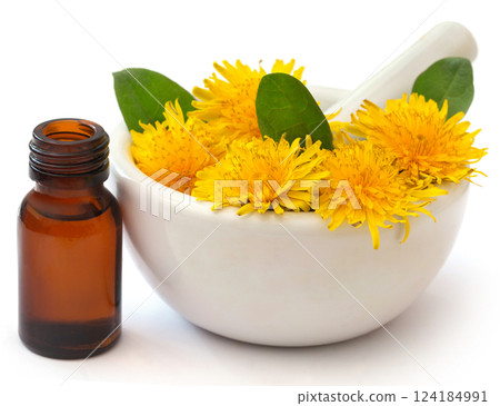 Medicinal dandelion and extract Medicinal dandelion and extract 124184991