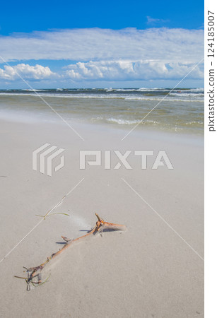 Dueodde beach of Bornholm Denmark 124185007