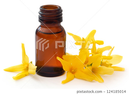 Forsythia with essential oil in a bottle Forsythia with essential oil in a bottle 124185014