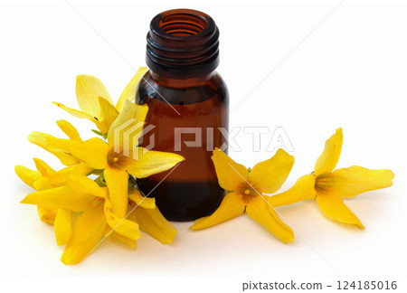 Forsythia with essential oil Forsythia with essential oil 124185016