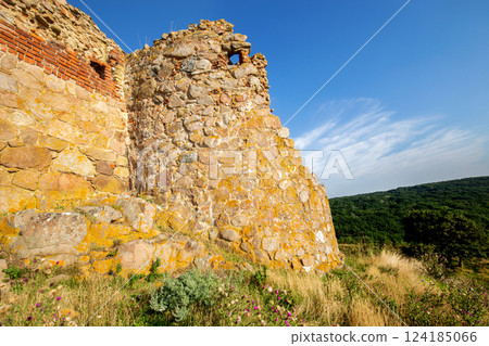 Hammershus Ruins Castle in Bornholm Hammershus Ruins Castle in Bornholm 124185066