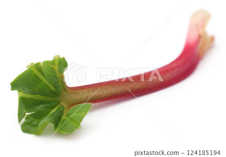 Fresh rhubarb stalk 124185194
