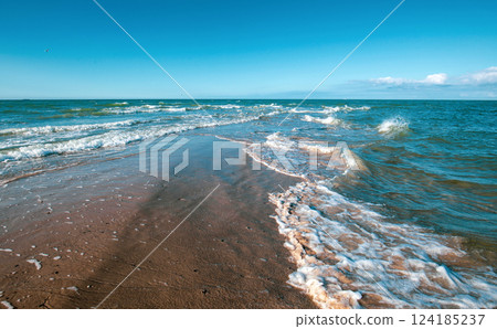 Beach at Skagen in Denmark 124185237
