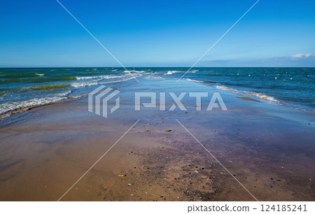 Skagen beach in Denmark 124185241