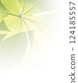 Leaf image 124185557