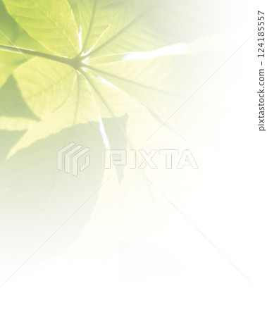 Leaf image 124185557
