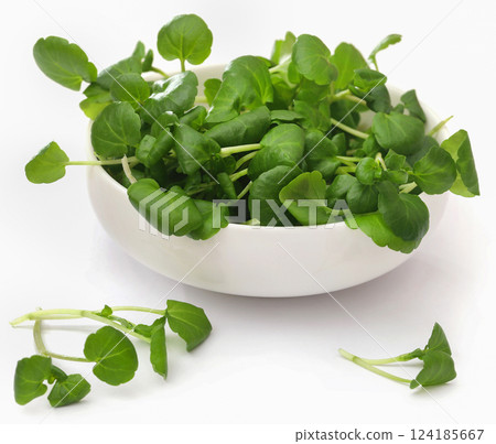 Fresh organic watercress Fresh organic watercress 124185667