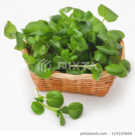 Fresh organic watercress 124185669