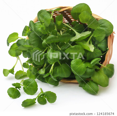 Fresh organic watercress 124185674