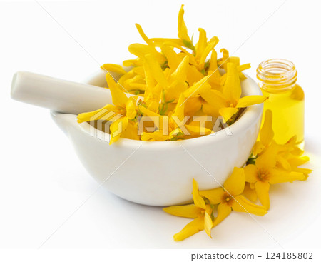 Forsythia with essential oil 124185802
