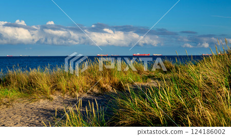 Skagen sea shore in Denmark 124186002