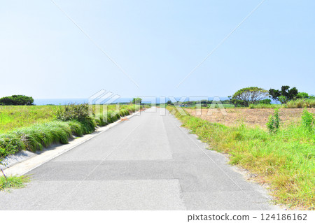 通往大海的路 4 通往大海的路 4 124186162