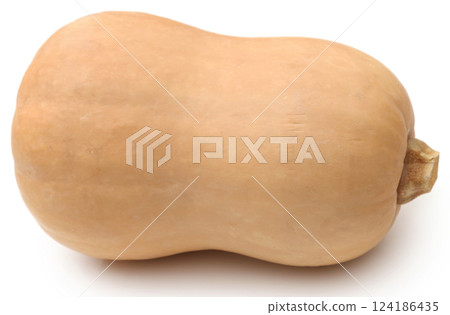 Butternut squash 124186435
