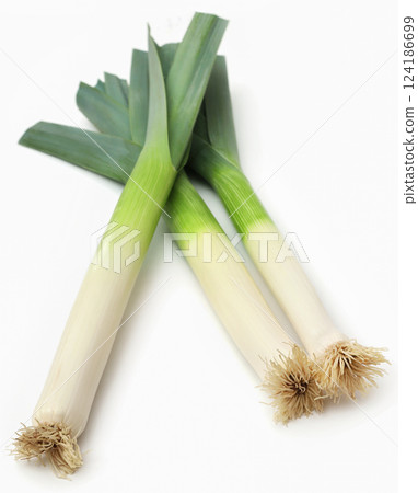 Fresh leek stems and leaves Fresh leek stems and leaves 124186699