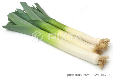 Fresh leek stems and leaves 124186708