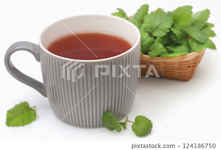 Lemon balm leaves with herbal tea 124186750