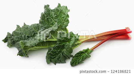 Fresh rhubarb Fresh rhubarb 124186821