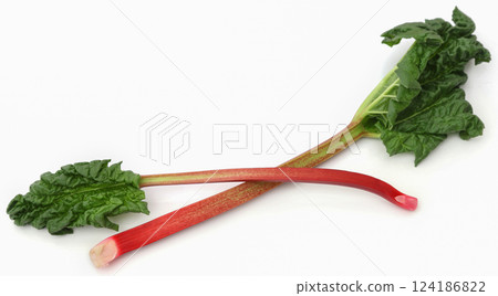Fresh rhubarb Fresh rhubarb 124186822