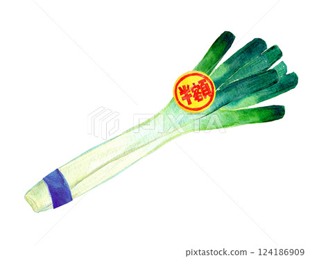 Watercolor illustration: A bunch of green onions with a half-price sticker attached 124186909
