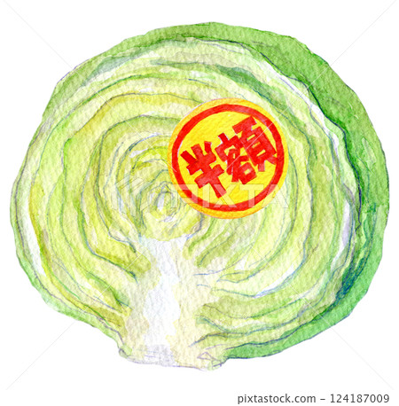 水彩插圖：貼有半價標籤的高麗菜 124187009