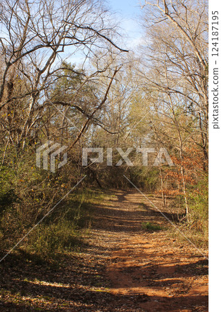 Hiking Trail in Rural East TX along El Camino Real Trail 124187195